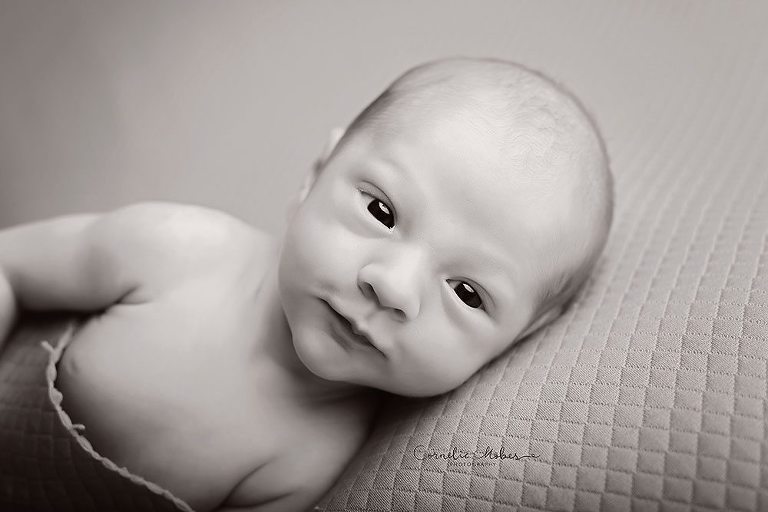 Neugeborenenshooting Neugeborenenfotografie Babyfotografie newborn shooting Babyfotograf Familie Cornelia Moebes Photography Zug Zürich Luzern Schwyz Aargau