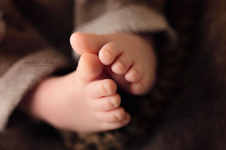 Neugeborenenfotografie Neugeborenenbilder newborn shooting Babyfotografie Neugeborene Cornelia Moebes Photografie Zug Zürich Luzern Aargau Schwyz