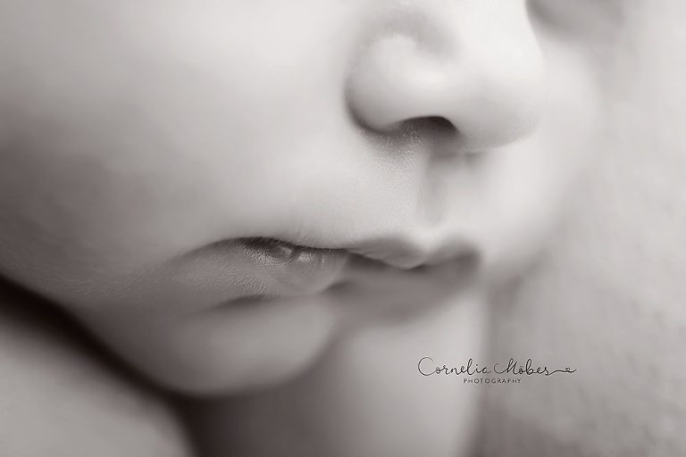 Neugeborenenfotografie Neugeborenenbilder newborn shooting Babyfotografie Neugeborene Cornelia Moebes Photografie Zug Zürich Luzern Aargau Schwyz