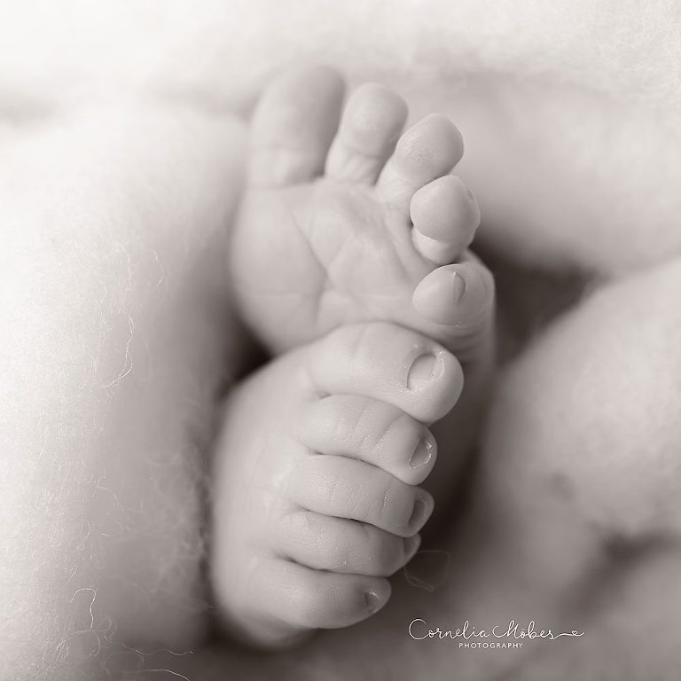 Neugeborenenfotografie Babyfotografie newborn shooting Babyfotos Babyfotografin Zug Zürich Luzern 