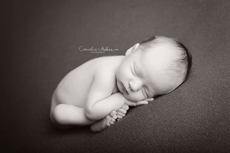 Neugeborenenfotografie Babyfotografie Babyfotografin Zug Zürich Luzern Schwyz Aargau newborn shooting baby portraiture Cornelia Moebes Photography