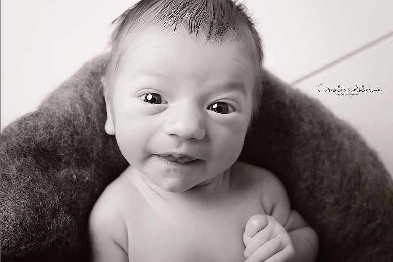 Neugeborenenfotografie Babyfotografie Babyfotografin Zug Zürich Luzern Schwyz Aargau newborn shooting baby portraiture Neugeborenenfotos Cornelia Moebes Photography