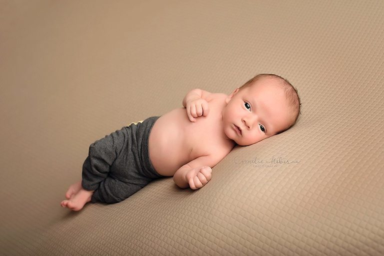 Neugeborenenfotografie Babyfotografie Babyfotografin Zug Zürich Luzern Schwyz Aargau newborn shooting baby portraiture Neugeborenenfotos Cornelia Moebes Photography