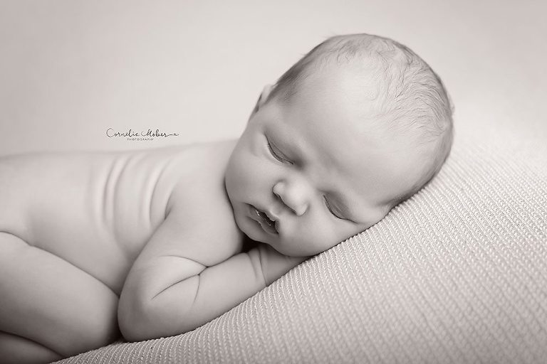 Neugeborenenfotos Neugeborenenfotografie Babyfotos Babyfotografie Newborn Shooting Baby Photographer Babyfotograf Zug Zürich Aargau Schwyz Luzern Cornelia Moebes Photography