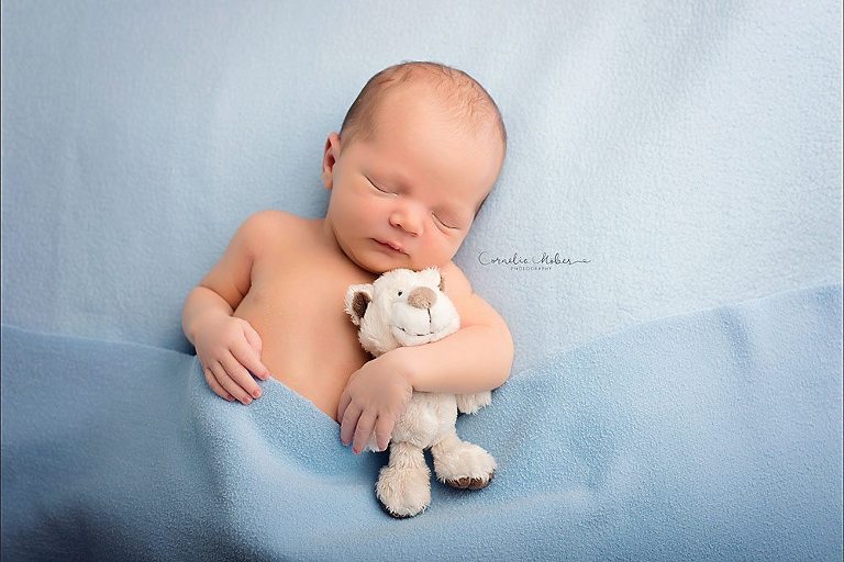 Neugeborenenfotos Neugeborenenfotografie Babyfotos Babyfotografie Newborn Shooting Baby Photographer Babyfotograf Zug Zürich Aargau Schwyz Luzern Cornelia Moebes Photography