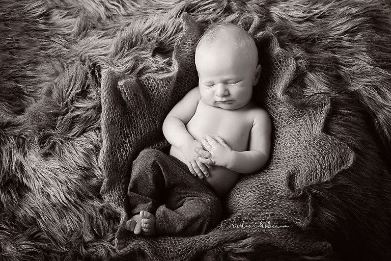 Neugeborenenshooting Neugeborenenfotografie Neugeborenenfotos newborn shooting Babyfotografie Babyfotos baby photographer Babyfotograf Zug Zürich Luzern Aargau Schwyz Cornelia Moebes Photogrphy