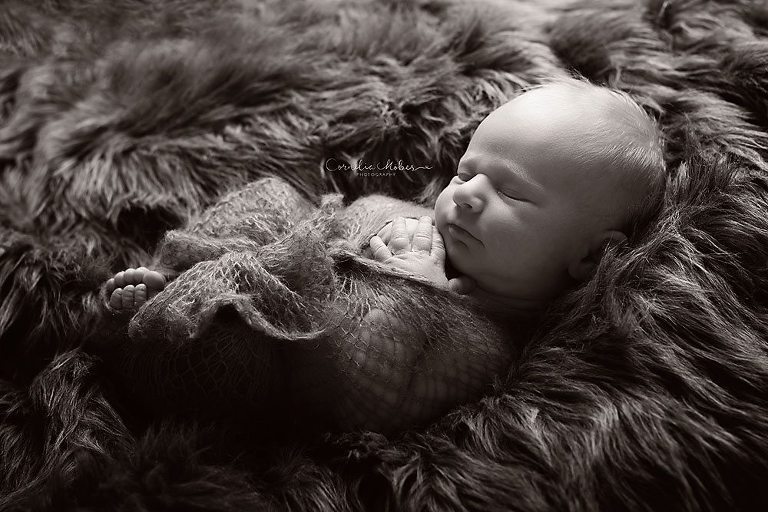 Neugeborenenshooting Neugeborenenfotografie Neugeborenenfotos newborn shooting Babyfotografie Babyfotos baby photographer Babyfotograf Zug Zürich Luzern Aargau Schwyz Cornelia Moebes Photogrphy