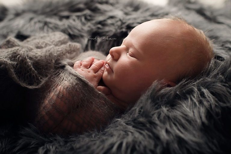 Neugeborenenshooting Neugeborenenfotografie Neugeborenenfotos newborn shooting Babyfotografie Babyfotos baby photographer Babyfotograf Zug Zürich Luzern Aargau Schwyz Cornelia Moebes Photogrphy