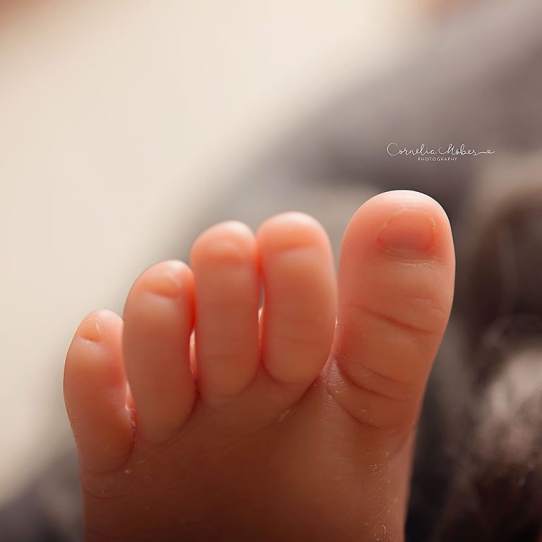 Neugeborenenshooting Neugeborenenfotografie Neugeborenenfotos newborn shooting Babyfotografie Babyfotos baby photographer Babyfotograf Zug Zürich Luzern Aargau Schwyz Cornelia Moebes Photography