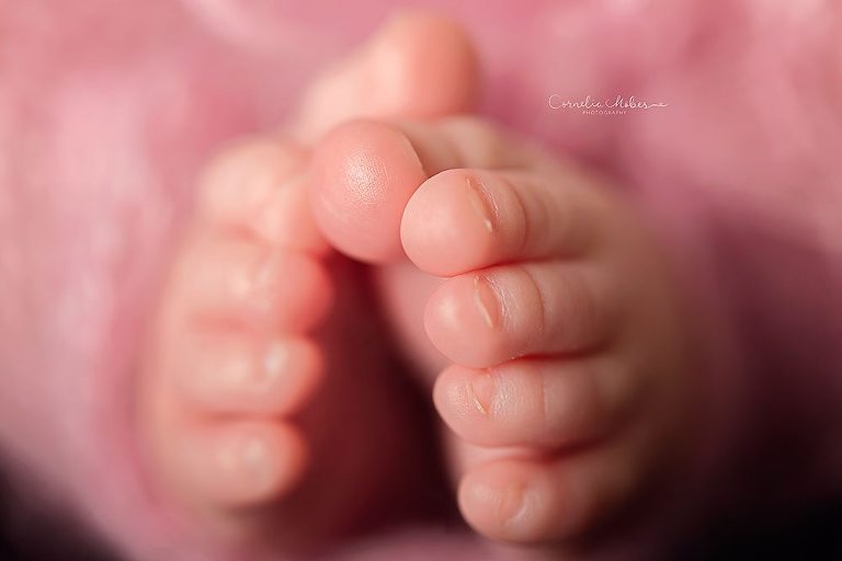 Neugeborenenshooting Neugeborenenfotografie Neugeborenenfotos newborn shooting Babyfotografie Babyfotos baby photographer Babyfotograf Zug Zürich Luzern Aargau Schwyz Cornelia Moebes Photography