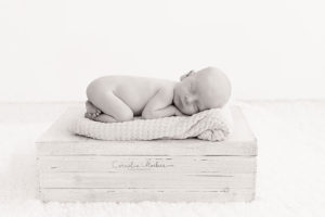 Zwillingsshooting Neugeborenenshooting newbornshooting Neugeborenenfotografie Babyfotografie Cornelia Moebes Photography