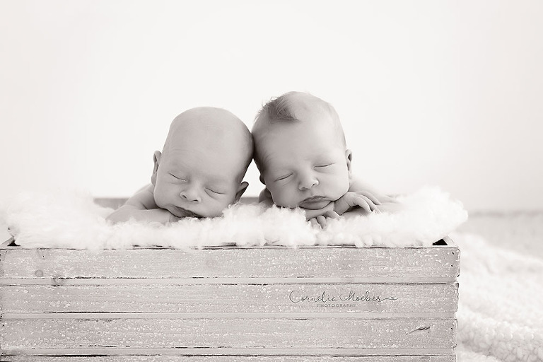 Zwillingsshooting Neugeborenenshooting newbornshooting Neugeborenenfotografie Babyfotografie Cornelia Moebes Photography