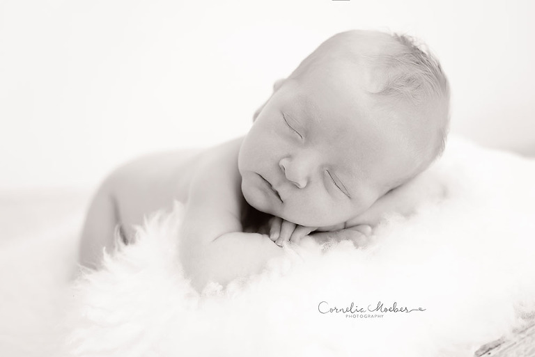 Zwillingsshooting Neugeborenenshooting newbornshooting Neugeborenenfotografie Babyfotografie Cornelia Moebes Photography