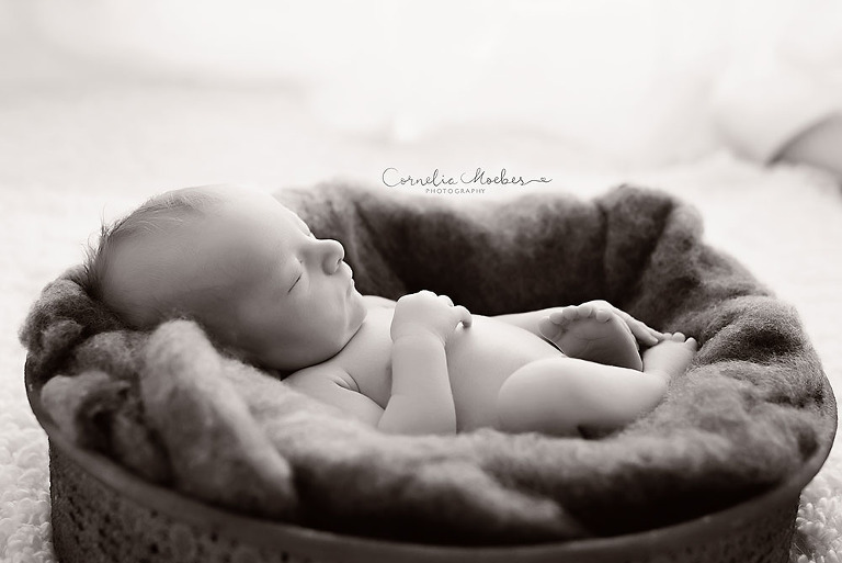 Zwillingsshooting Neugeborenenshooting newbornshooting Neugeborenenfotografie Babyfotografie Cornelia Moebes Photography