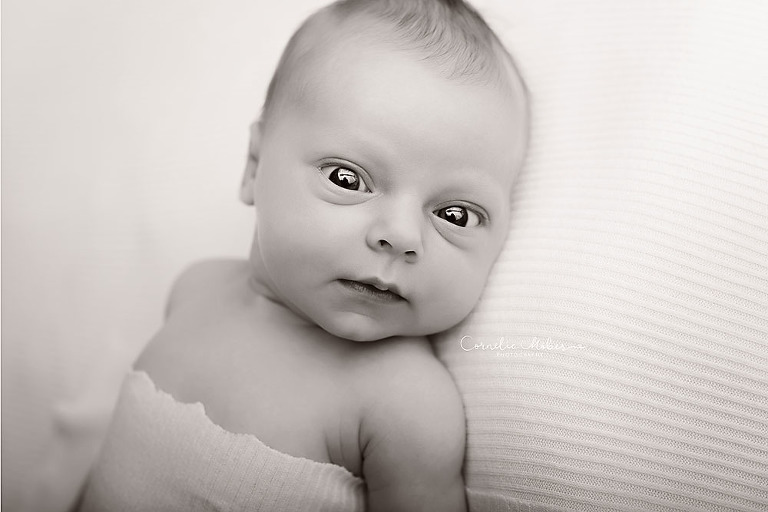 Neugeborenenfotografie newbornshooting Babyfotografie Neugeborenenshooting Babyfotograf Cornelia Moebes Photography