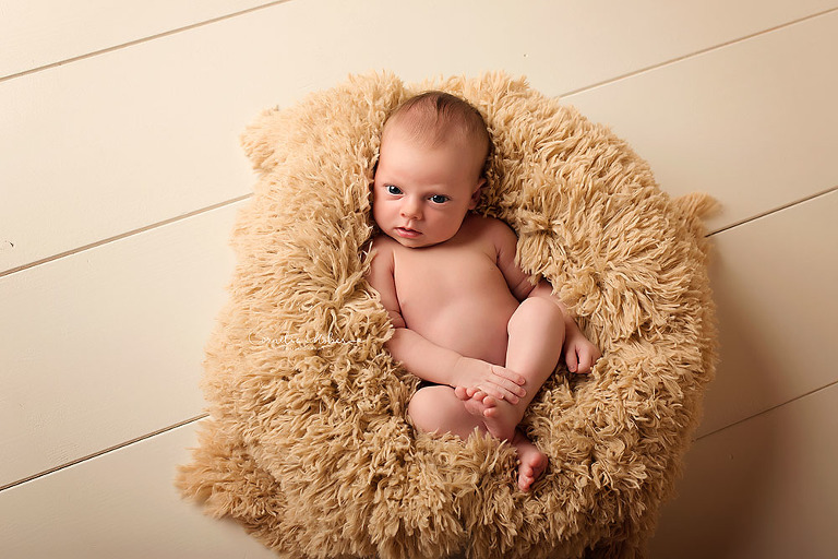 Neugeborenenfotografie newbornshooting Babyfotografie Neugeborenenshooting Babyfotograf Cornelia Moebes Photography