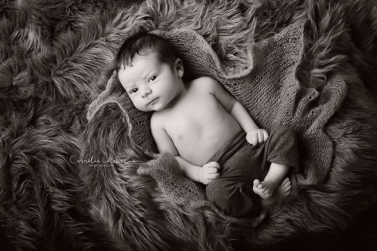 Neugeborenenbilder Neugeborenenshooting Neugeborenenfotografie newbornphotography newborn shooting Babyfotografie Babyfotograf Zug Zürich Luzern Aargau Schwyz Cornelia Moebes Photography