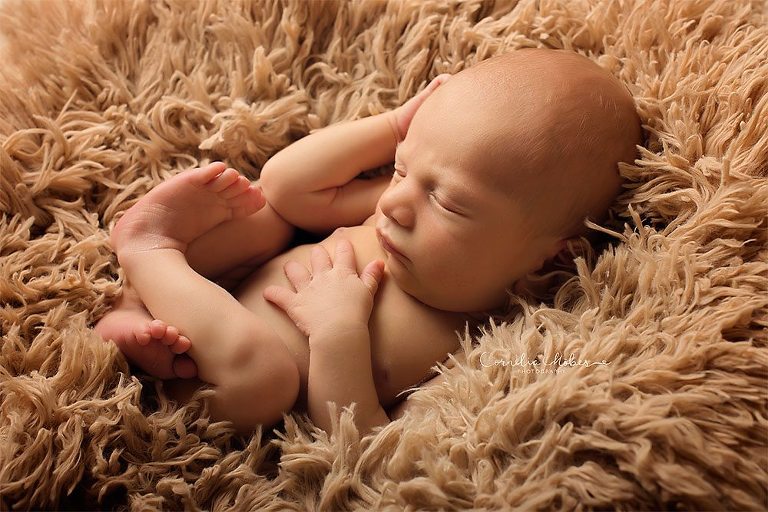 Neugeborenenbilder Neugeborenenshooting Neugeborenenfotografie newbornphotography newborn shooting Babyfotografie Babyfotograf Zug Zürich Luzern Aargau Schwyz Cornelia Moebes Photography