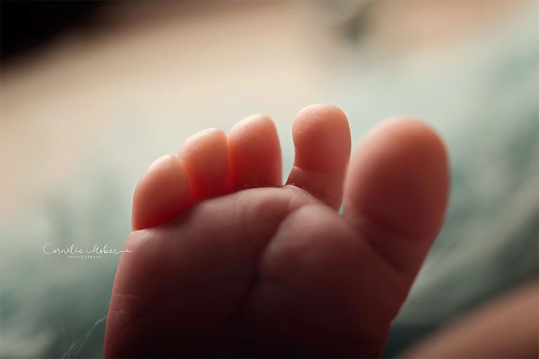 Neugeborenenbilder Neugeborenenshooting Neugeborenenfotografie newbornphotography newborn shooting Babyfotografie Babyfotograf Zug Zürich Luzern Aargau Schwyz Cornelia Moebes Photography