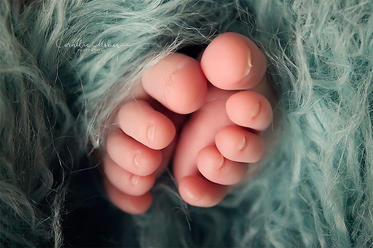 Neugeborenenbilder Neugeborenenshooting Neugeborenenfotografie newbornphotography newborn shooting Babyfotografie Babyfotograf Zug Zürich Luzern Aargau Schwyz Cornelia Moebes Photography