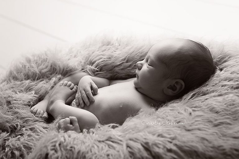Neugeborenenbilder Neugeborenenshooting Neugeborenenfotografie newbornphotography newborn shooting Babyfotografie Babyfotograf Zug Zürich Luzern Aargau Schwyz Cornelia Moebes Photography