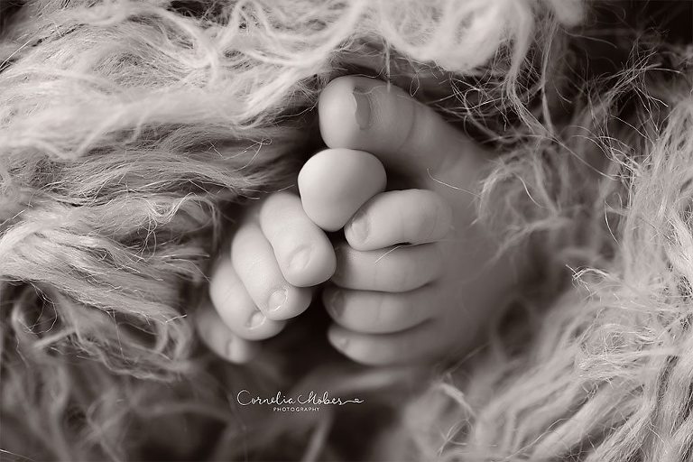 Neugeborenenbilder Neugeborenenshooting Neugeborenenfotografie newbornphotography newborn shooting Babyfotografie Babyfotograf Zug Zürich Luzern Aargau Schwyz Cornelia Moebes Photography