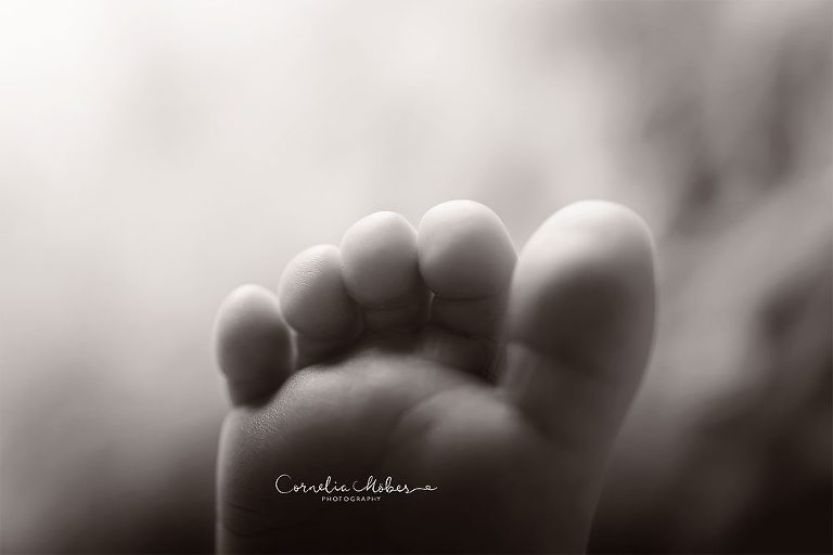 Neugeborenenbilder Neugeborenenshooting Neugeborenenfotografie newbornphotography newborn shooting Babyfotografie Babyfotograf Zug Zürich Luzern Aargau Schwyz Cornelia Moebes Photography