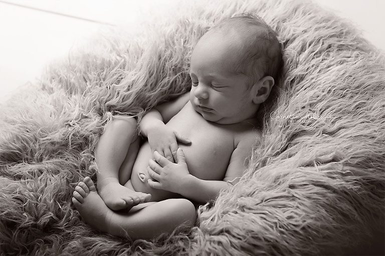 Neugeborenenbilder Neugeborenenshooting Neugeborenenfotografie newbornphotography newborn shooting Babyfotografie Babyfotograf Zug Zürich Luzern Aargau Schwyz Cornelia Moebes Photography