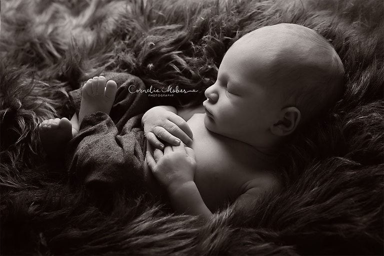 Neugeborenenbilder Neugeborenenshooting Neugeborenenfotografie newbornphotography newborn shooting Babyfotografie Babyfotograf Zug Zürich Luzern Aargau Schwyz Cornelia Moebes Photography