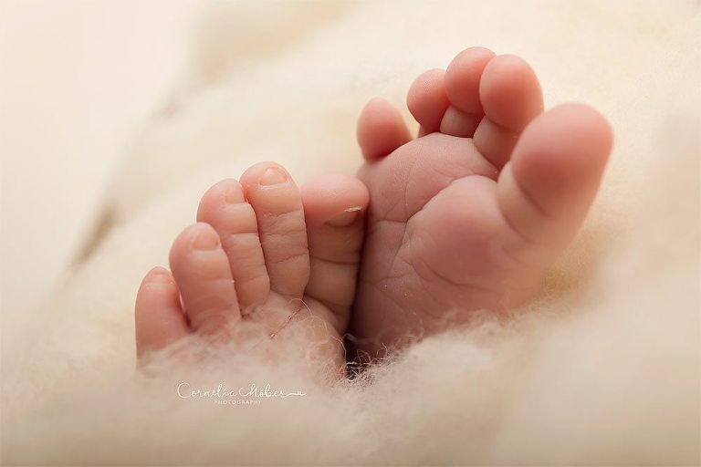 Neugeborenenbilder Neugeborenenshooting Neugeborenenfotografie newbornphotography newborn shooting Babyfotografie Babyfotograf Zug Zürich Luzern Aargau Schwyz Cornelia Moebes Photography