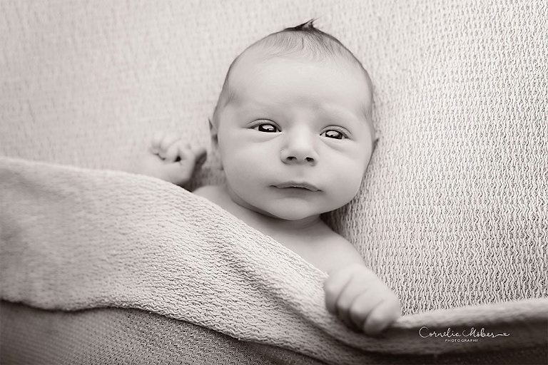 Neugeborenenbilder Neugeborenenshooting Neugeborenenfotografie newbornphotography newborn shooting Babyfotografie Babyfotograf Zug Zürich Luzern Aargau Schwyz Cornelia Moebes Photography