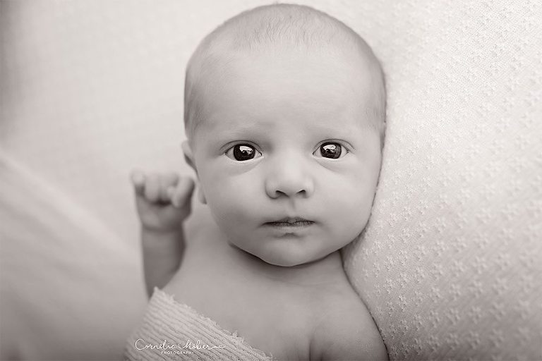 Neugeborenenbilder Neugeborenenshooting Neugeborenenfotografie newbornphotography newborn shooting Babyfotografie Babyfotograf Zug Zürich Luzern Aargau Schwyz Cornelia Moebes Photography