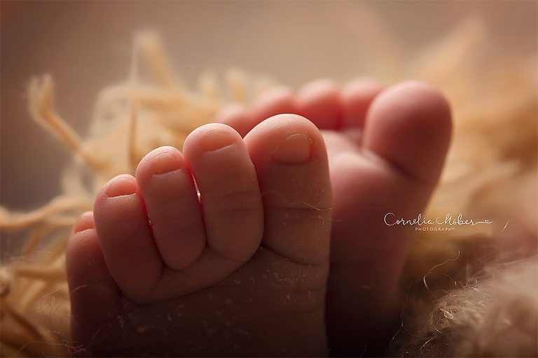 Neugeborenenbilder Neugeborenenshooting Neugeborenenfotografie newbornphotography newborn shooting Babyfotografie Babyfotograf Zug Zürich Luzern Aargau Schwyz Cornelia Moebes Photography