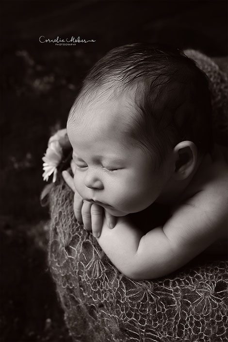 Neugeborenenfots newbornshooting Neugeborenenfotografie Babyfotografie Babyfotograf portrait photographer Zug Zuerich Luzern Family portraits Cornelia Moebes Photography