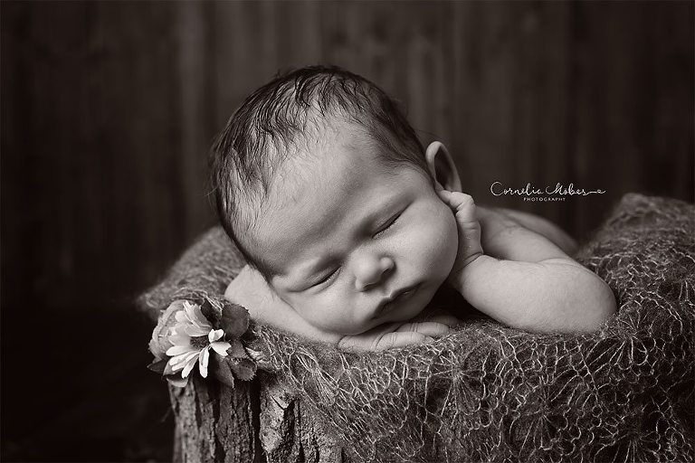 Neugeborenenfots newbornshooting Neugeborenenfotografie Babyfotografie Babyfotograf portrait photographer Zug Zuerich Luzern Family portraits Cornelia Moebes Photography