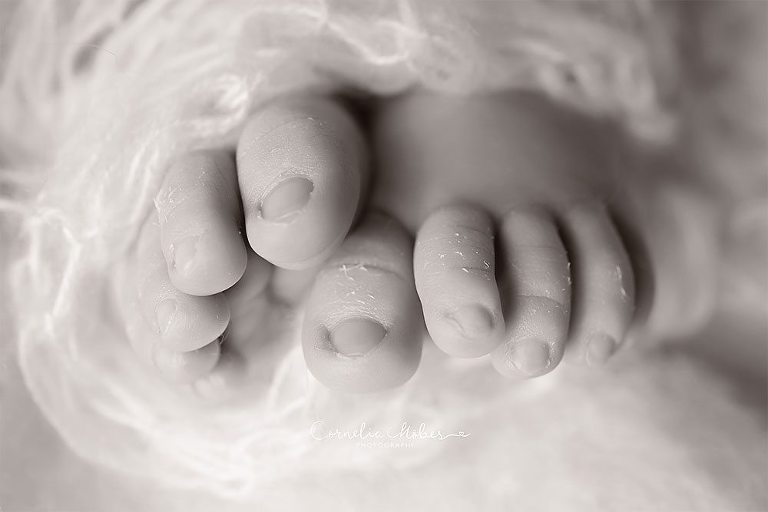 Neugeborene, Neugeborenenfotos, Neugeborenenfotografie, Neugeborenenfotografie Zug, Neugeborenenfotografie Zürich, Neugeborenenfotografie Luzern, Neugeborenenfotografie Aargau, Neugeborenenfotografie Schwyz, Neugeborenenfotografie Schweiz, Newbornshooting, Newborn Photographer, Newborn Photography,   Babyfotografie, Babyfotos, Baby Photographer, Baby Fotoshooting, Babyfotografie Zug, Babyfotografie Zürich, Babyfotografie Luzern, Babyfotografie Aargau, Babyfotografie Schwyz, Babyfotografie Schweiz, Portrait Photographer, Portrait Fotograf, Kinder Portrait, Familienportrait, Fotograf Zug, Fotograf Zuerich, Fotograf Luzern, Fotograf Schweiz