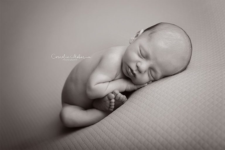 Neugeborenenbilder Neugeborenenshooting Neugeborenenfotografie newbornphotography newborn shooting Babyfotografie Babyfotograf Zug Zürich Luzern Aargau Schwyz Cornelia Moebes Photography