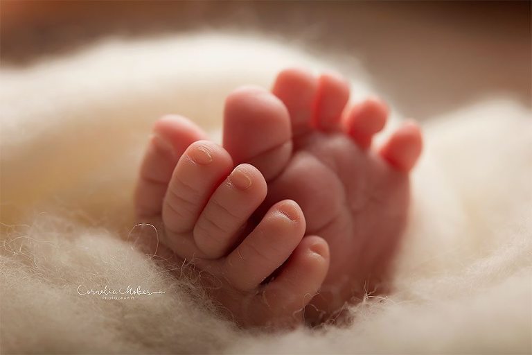 Neugeborenenshooting Newbornsession Babyfotografie Babybilder Familienfotograf Cornelia Moebes Photography Zug Zürich Luzern