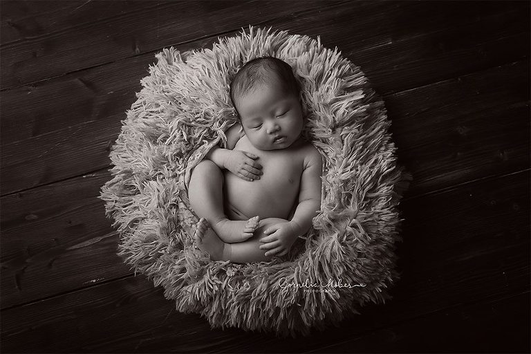 Neugeborenenshooting Neugeborenenfotografie Babyfotografie newbornshooting baby girl maternity composite Cornelia Moebes Photography
