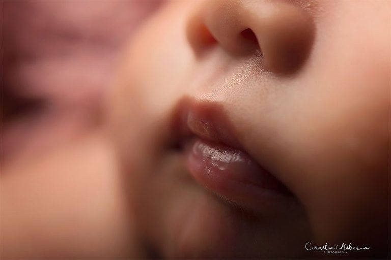 Neugeborenenshooting Neugeborenenfotografie Babyfotografie newbornshooting baby girl maternity composite Cornelia Moebes Photography