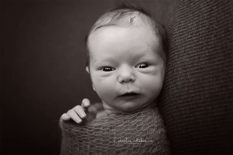 Neugeborenenshooting Newbornsession Neugeborenenfotograf Babyfotografie Babybilder erste Portraits Familienshooting Cornelia Moebes Photography Zug Zürich Luzern