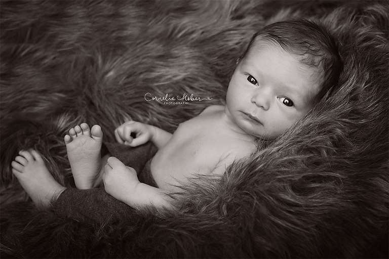 Neugeborenenshooting Newbornsession Neugeborenenfotograf Babyfotografie Babybilder erste Portraits Familienshooting Cornelia Moebes Photography Zug Zürich Luzern