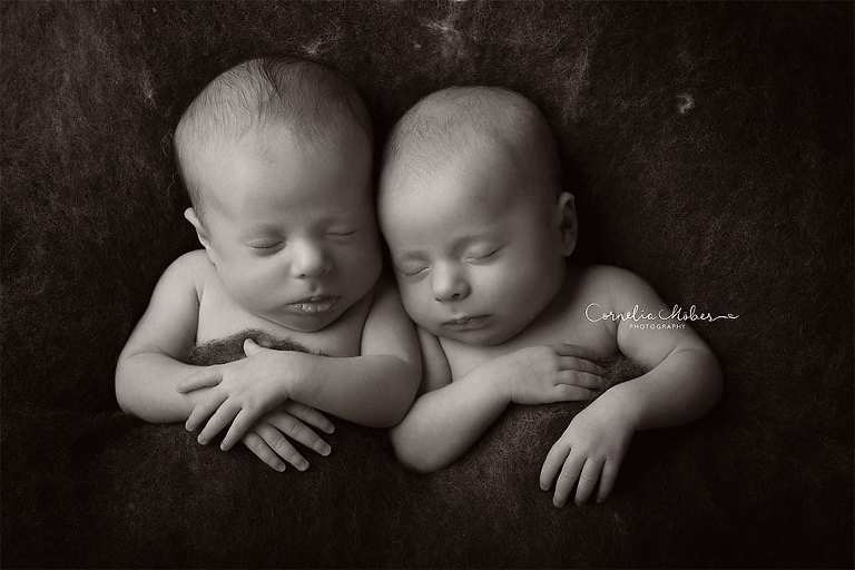 Neugeborenenbilder Neugeborenenfotografin Neugeborenenshooting Newborn Photographer Babyshooting Babyfotos Portrait Fotografin Zug Zürich Zentralschweiz Cornelia Moebes Photography Twins Zwillinge