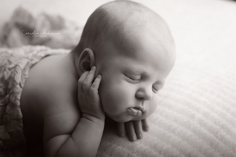 Neugeborenenbilder Neugeborenenfotografin Neugeborenenshooting Newborn Photographer Babyshooting Babyfotos Portrait Fotografin Zug Zürich Zentralschweiz Cornelia Moebes Photography