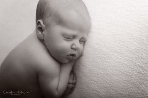 Neugeborenenbilder Neugeborenenfotografin Neugeborenenshooting Newborn Photographer Babyshooting Babyfotos Portrait Fotografin Zug Zürich Zentralschweiz Cornelia Moebes Photography