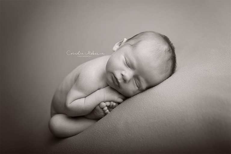Neugeborene, Neugeborenenfotos, Neugeborenenfotografie, Neugeborenenfotografie Zug, Neugeborenenfotografie Zürich, Neugeborenenfotografie Luzern, Neugeborenenfotografie Aargau, Neugeborenenfotografie Schwyz, Neugeborenenfotografie Schweiz, Newbornshooting, Newborn Photographer, Newborn Photography, Babyfotografie, Babyfotos, Baby Photographer, Baby Fotoshooting, Babyfotografie Zug, Babyfotografie Zürich, Babyfotografie Luzern, Babyfotografie Aargau, Babyfotografie Schwyz, Babyfotografie Schweiz,