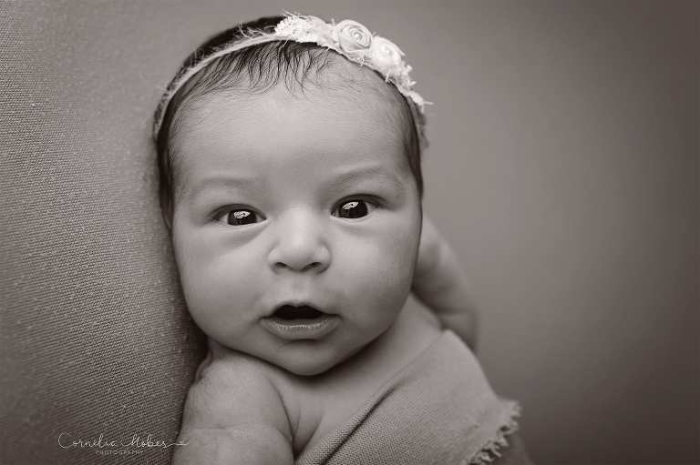 Neugeborenenfotografie Neugeborenenfotos Newbornportraits Newbornshoot Newborn Baby Photographer Babyshoot Babyfotografie Portrait Familie Cornelia Moebes Photography