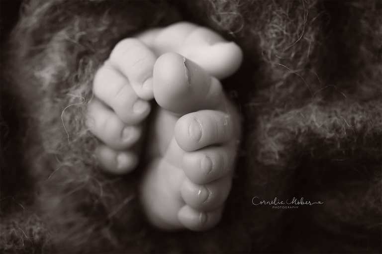 Neugeborenenfotografie Neugeborenenfotos Newbornportraits Newbornshoot Newborn Baby Photographer Babyshoot Babyfotografie Portrait Familie Cornelia Moebes Photography