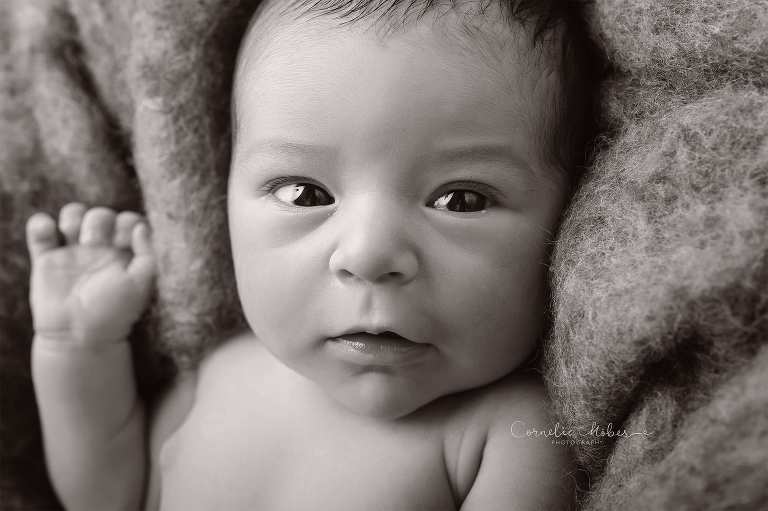 Neugeborenenfotografie Neugeborenenfotos Newbornportraits Newbornshoot Newborn Baby Photographer Babyshoot Babyfotografie Portrait Familie Cornelia Moebes Photography