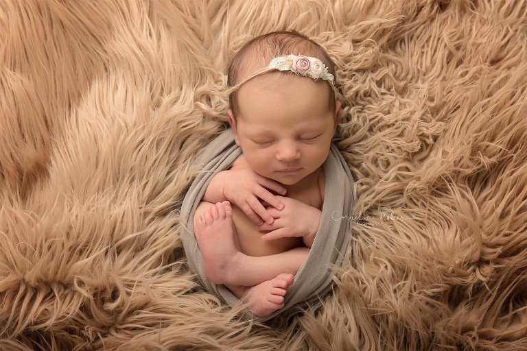 Neugeborenenfotografie Neugeborenenfotos Newbornportraits Newbornshoot Newborn Baby Photographer Babyshoot Babyfotografie Portrait Familie Cornelia Moebes Photography